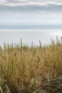 bord de mer