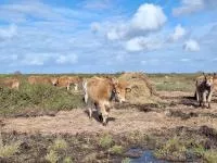 Exploitation_agriculture