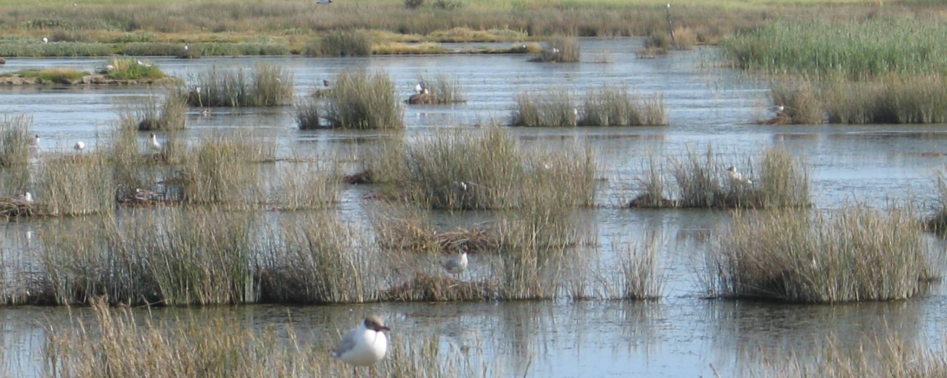 La Maison du vide, située au milieu du polder Sébastopol