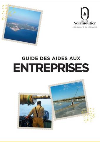 Guide des aides aux entreprises