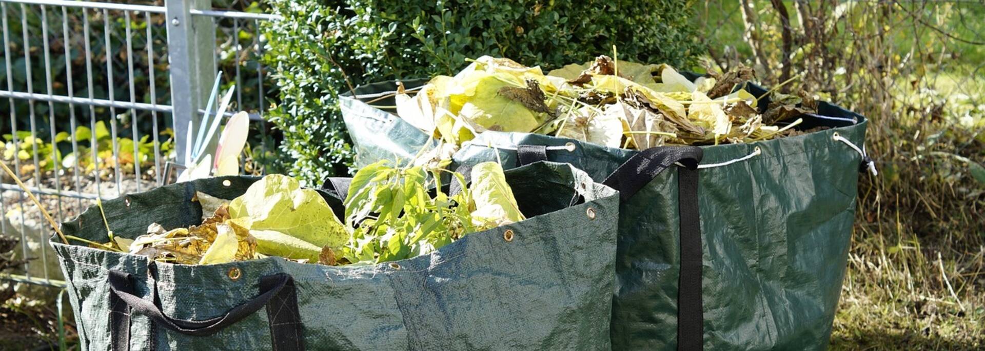 déchets verts