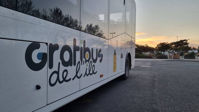 Gratibus de l'île 