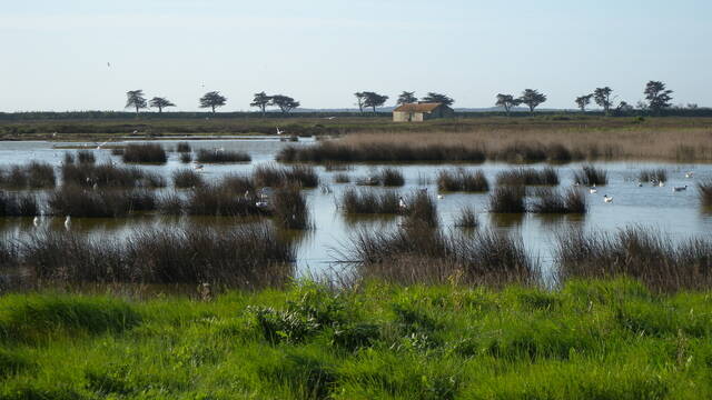 Réserve naturelle régionale du polder de Sébastopol