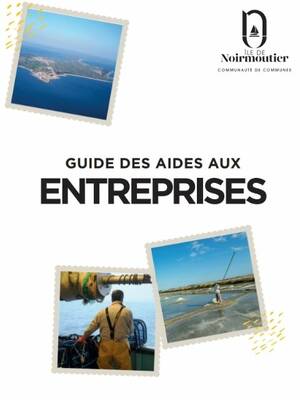 Guide des aides aux entreprises