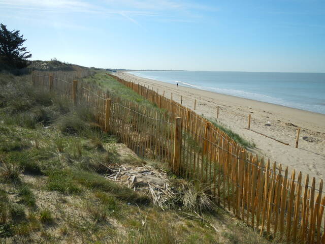 Fil lisse et ganivelles