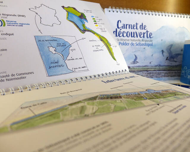 Partir à la découverte du polder de Sébastopol 