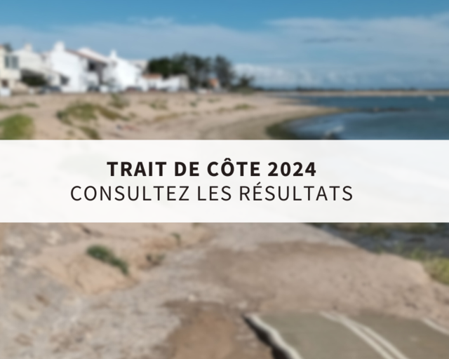 trait de côte 2024