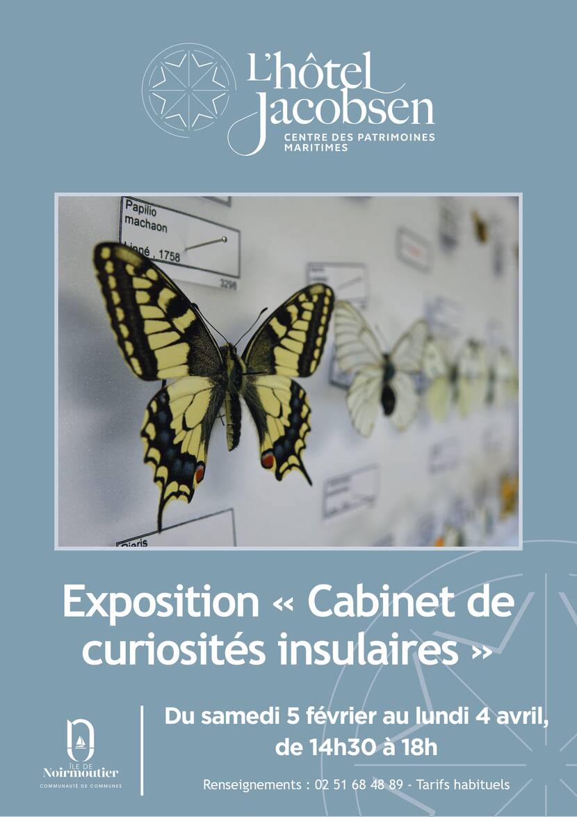 Cabinet des curiosités insulaires - Hôtel Jacobsen 