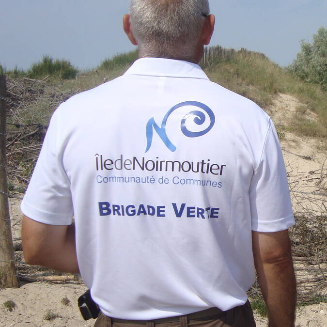 Brigade verte