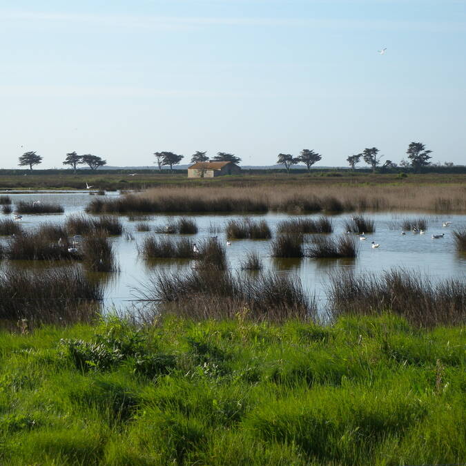 Polder de Sébastopol