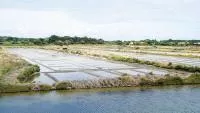 Marais Mullembourg