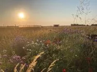 plaine de barbatre noirmoutier